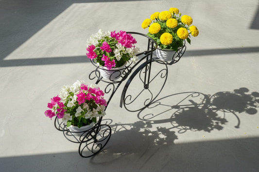 Tricycle Planter Stand – Decorative Cycle Plant Holder for Indoor Outdoor Use | Metal Flower Pot Stand for Balcony, Living Room, Patio & Garden Décor – Black