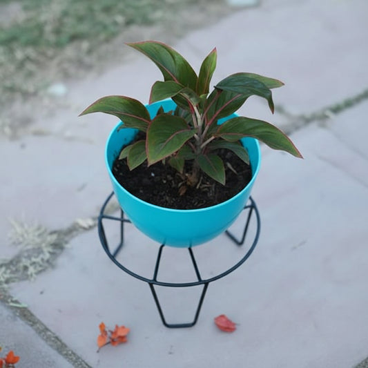 8inch Heavy Duty Anti Rust Round Metal Plant Stand / Pot Stand with Bottom Rubber for Home Balcony Indoor Outdoon Garden | Capacity upto 50kg | 8(L) x8(W) x4.5(H) inch (Black (Pack of 4))