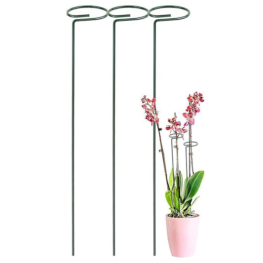 16-Inch Metal Plant Trellis, Heavy-Duty Garden Support for Climbing Plants, 16 x 2 Inches
