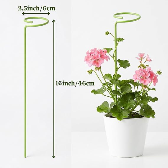 16-Inch Metal Plant Trellis, Heavy-Duty Garden Support for Climbing Plants, 16 x 2 Inches