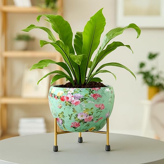Decorative Pot with Stand for Indoor Rust Free Metal Plant pots for Home/Living/Balcony/Room/Office.rustproof Waterproof Set of 1 Multicolour