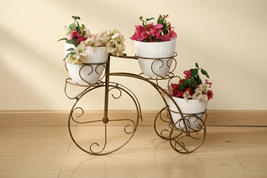 Tricycle Planter Stand – Decorative Metal Cycle Shape Plant Holder for Indoor Outdoor Use – Home Garden Balcony Terrace Décor – 1 Piece (Gold)
